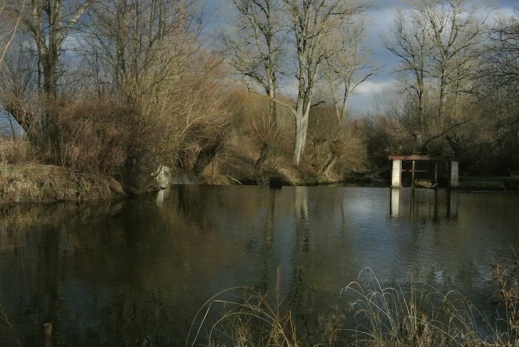 Penzion U Reky Vojkovice  Buitenkant foto